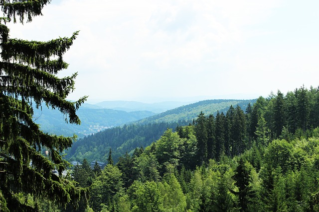 mieszkania na sprzedaż Szklarska Poręba