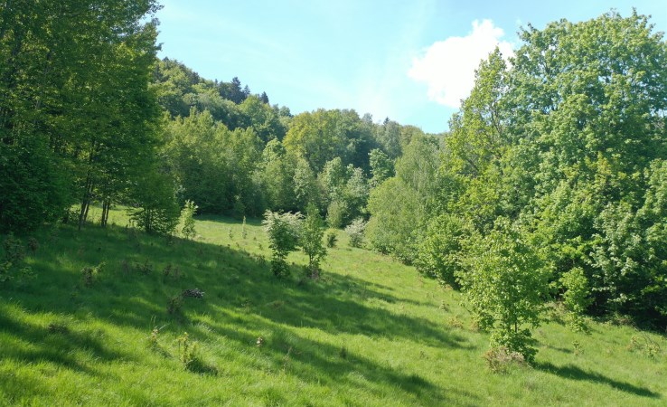 działka na sprzedaż - Piechowice